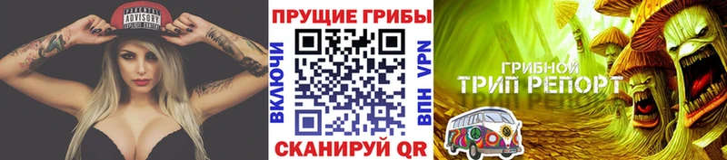 где найти   Абаза  hydra зеркало  Псилоцибиновые грибы прущие грибы 